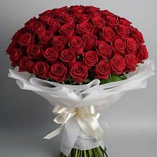 Букет 101 Красная роза Блэк Мэджик в Стромынь