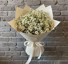 Букет цветов из:  Ромашки в Стромынь