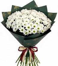 Букет цветов из:  Хризантемы #REPLACE_PRED# Стромынь