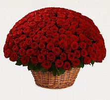 Премиум букет из: Розы в Стромынь